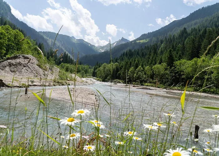 Hochalmbahnen Chalets 1-01, Alpenglocke, Nahe Gondel, Hunde Willkommen * Rauris